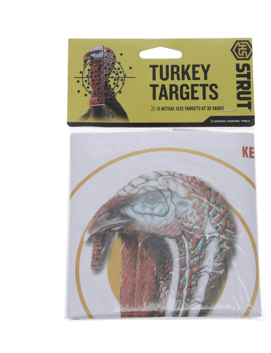 HS Strut Turkey Target
