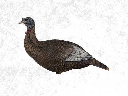 Flextone Thunder Chick Upright