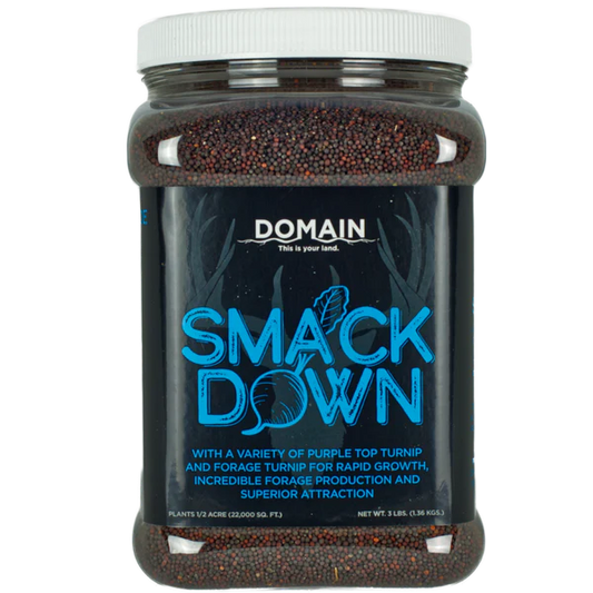Domain Smack Down
