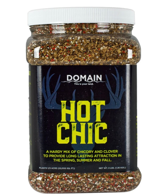 Domain Hot Chic