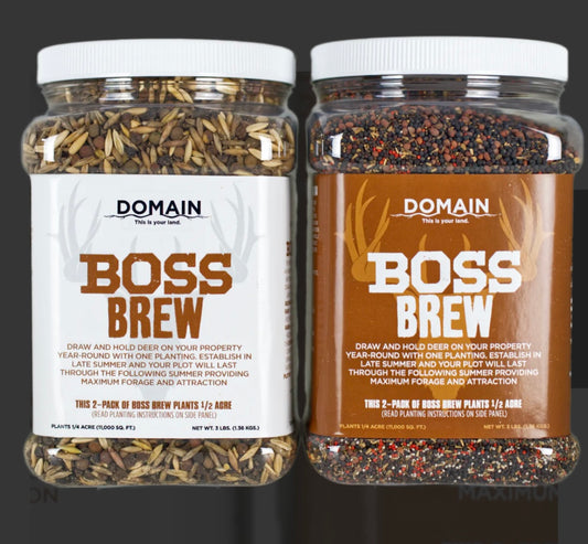 Domain Boss Brew