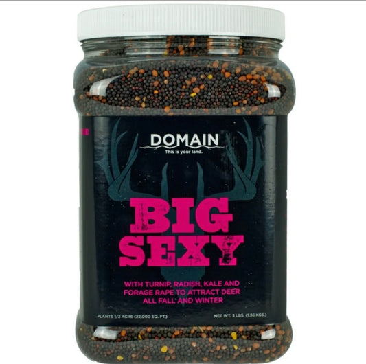 Domain Big Sexy