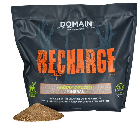 Domain Recharge Mineral 10#