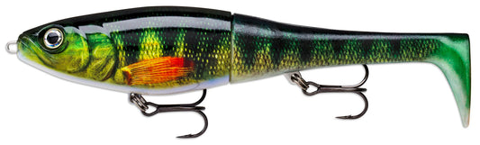 Rapala X-Rap Peto Live Perch 8”