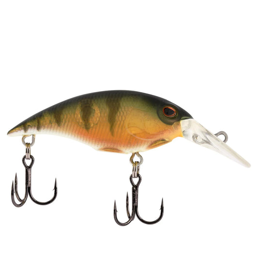 Berkley Money Badger 4