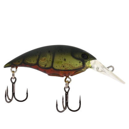 Berkley Money Badger 4