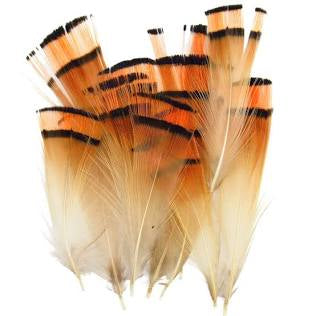 Wapsi Golden Pheasant Tippet