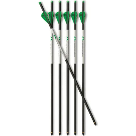 Centerpoint 400 Grain Arrows