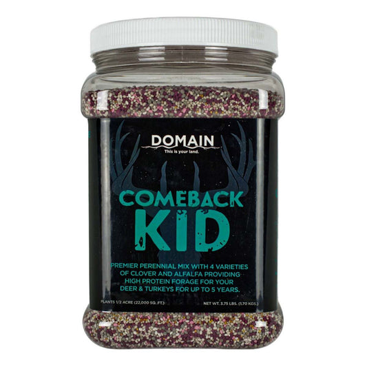 Domain Comeback Kid 3.75#